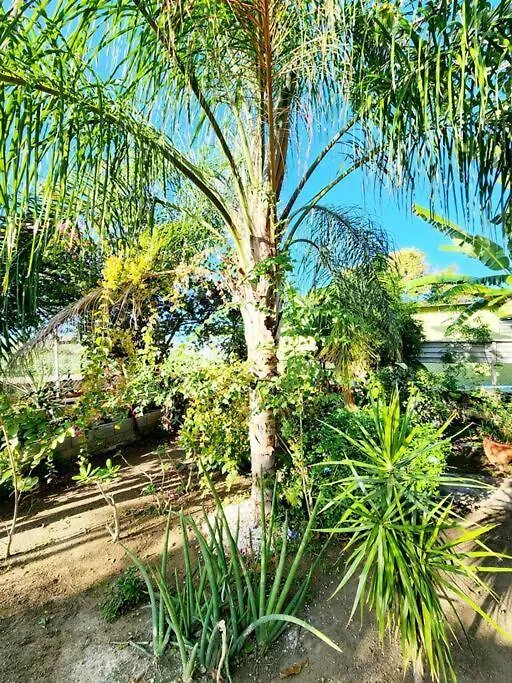 Holiday home Oasis Salinas Villa